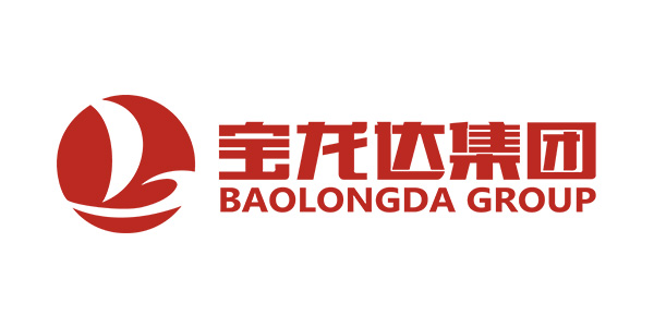 山东宝龙达实业集团有限公司